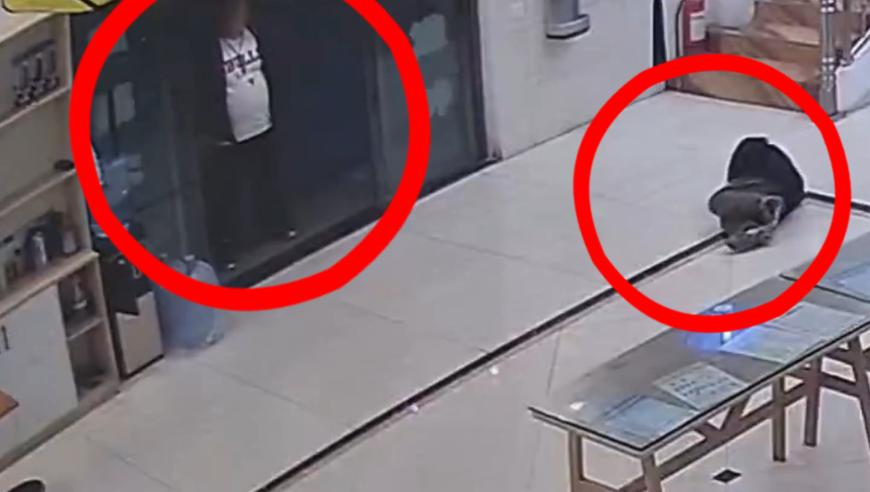 布鲁尔金牌,天空彩兔费资科大全彩民之家,权威独家讨论与热门话题_网红版V4.95