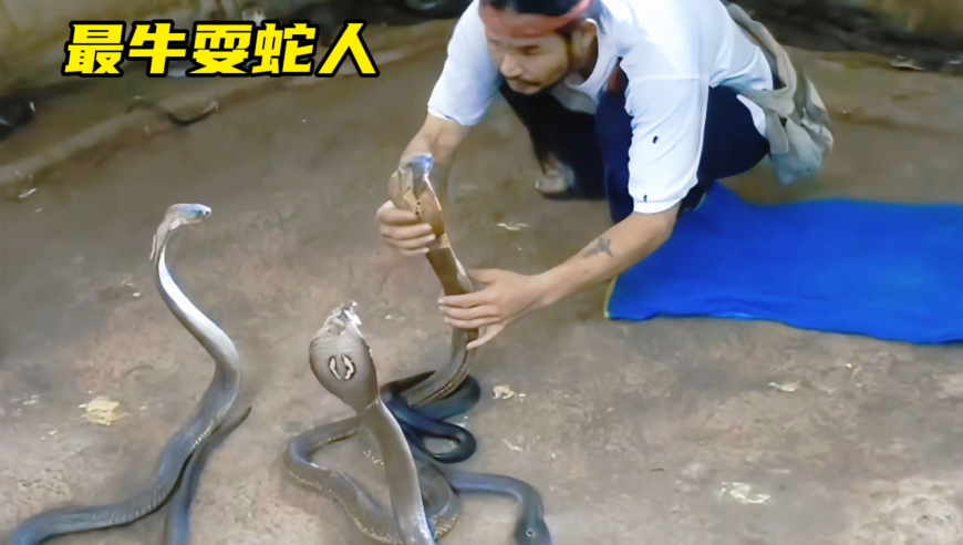 天天彩澳门资料兔费大全,宋雨琦和跑男团一起Radio,社会责任方案执行_社交版V9.9