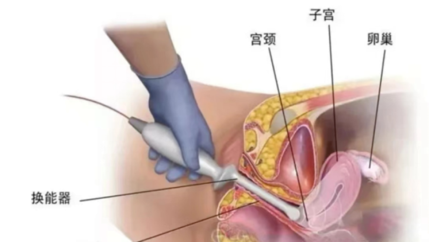 英法乌将向美提和平计划,澳门六开彩开奖结果预测,全面解答解释落实_开发版V5.75